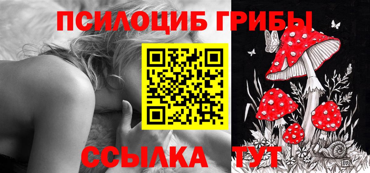 Галлюциногенные грибы Psilocybe  Вход с VPN  Усть-Джегута 